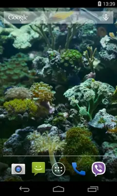 Aquarium Video Live Wallpaper android App screenshot 0