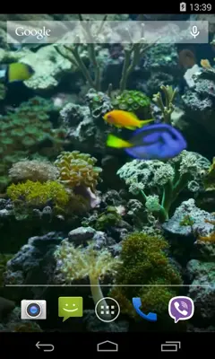 Aquarium Video Live Wallpaper android App screenshot 1