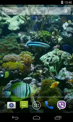 Aquarium Video Live Wallpaper android App screenshot 2