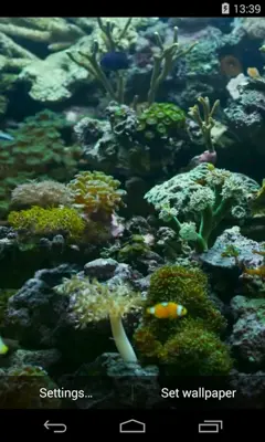 Aquarium Video Live Wallpaper android App screenshot 3